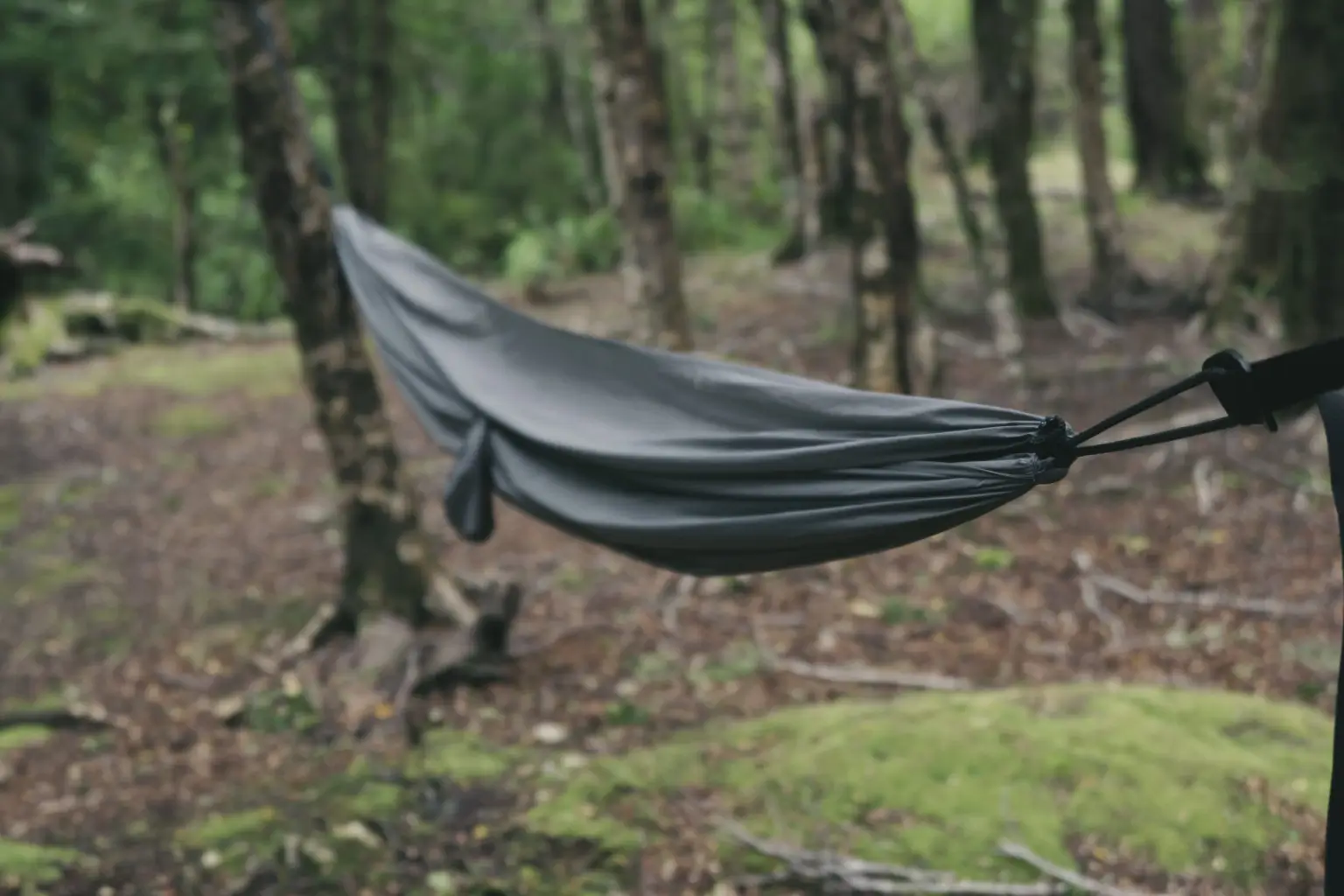 A hammock hanging between two trees
